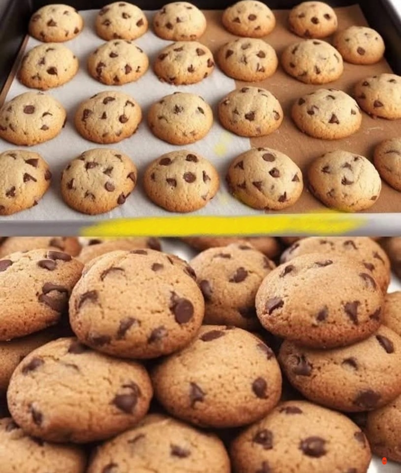 Peanut Butter Chocolate Chip Cookies