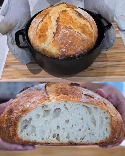 Dutch Oven Bread Recipe