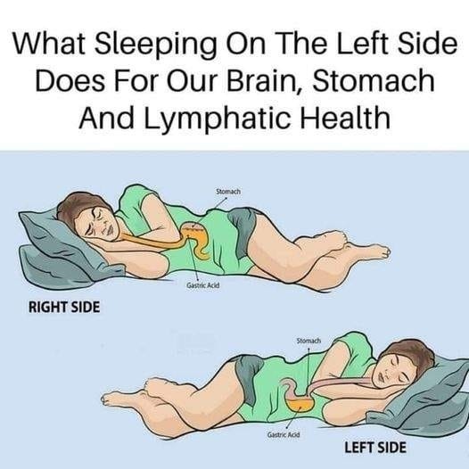 The Benefits of Sleeping on the Left Side for Brain, Stomach, and Glymphatic Health 🛌💤✨