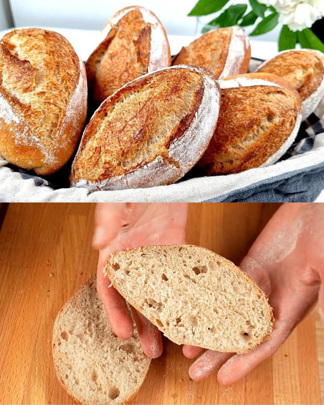 No-Knead Whole Wheat Bread Rolls