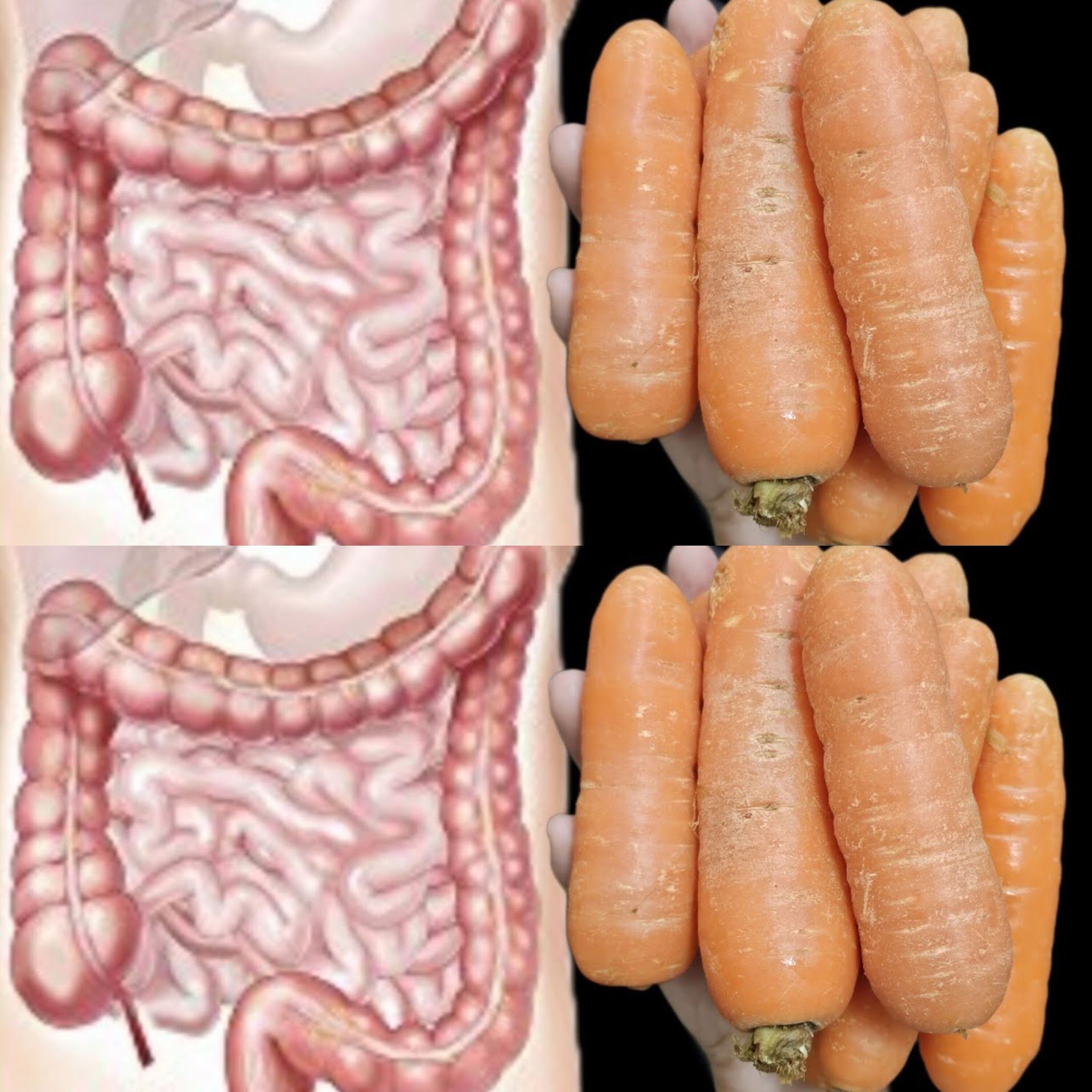 Cleanse Your Intestines and Liver with Carrot: A 3-Day Natural Detox