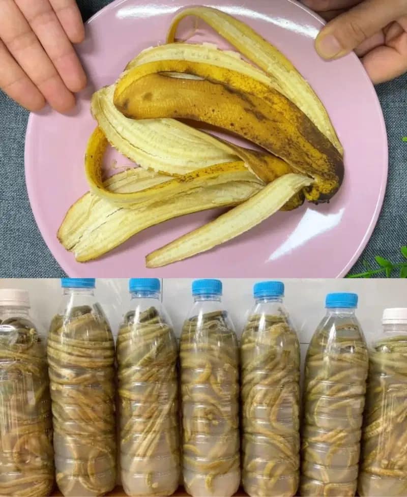 Banana Peels: Put Them in a Bottle and Discover Their Incredible Uses!