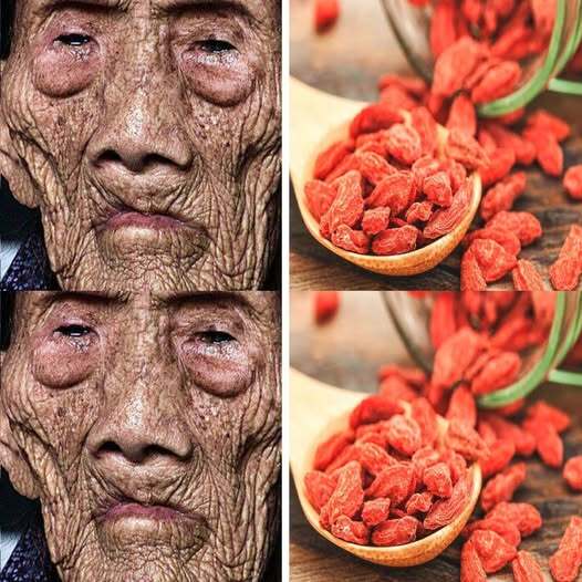 256-Year-Old World’s Oldest Man – Li Ching-Yuen and the Herbs He Took, Including Goji Berries 