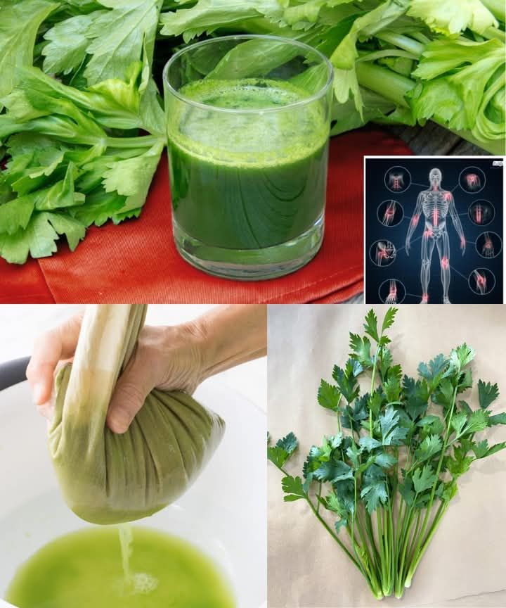 Boost Your Liver Health and Burn Fat with These 3 Detoxifying Green Juice Recipes